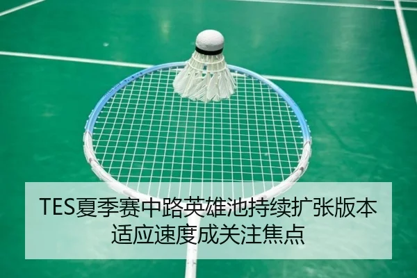TES夏季赛中路英雄池持续扩张版本适应速度成关注焦点